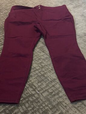 Time and Tru Wine-Colored Slim Pants